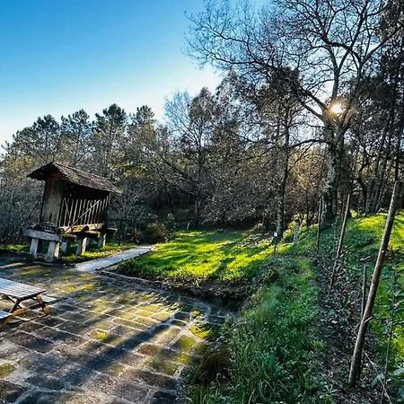 Eira Das Carvalhas Penafiel Dış mekan fotoğraf