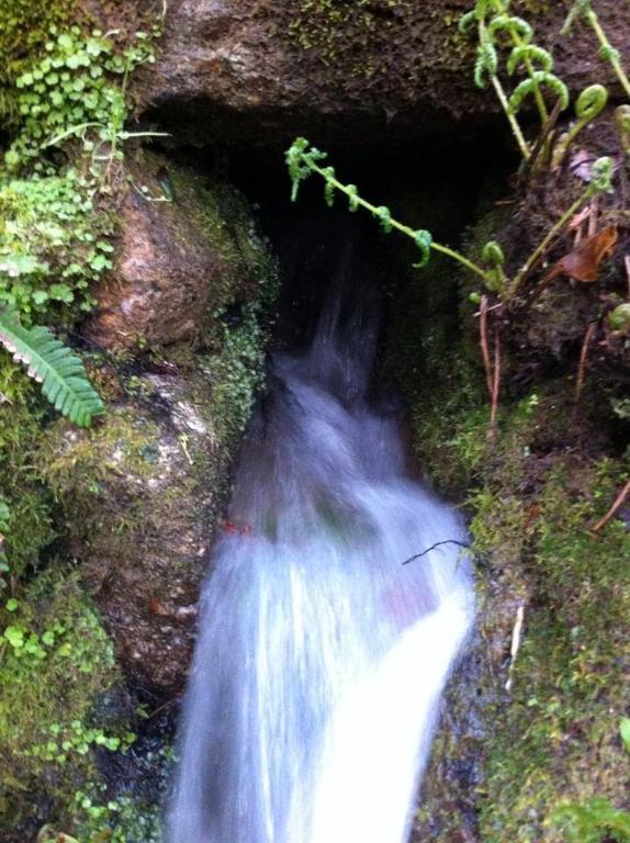 Eira Das Carvalhas Penafiel Oda fotoğraf
