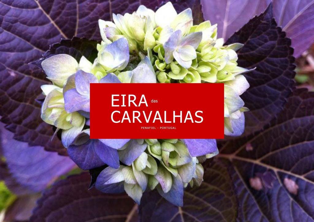 Eira Das Carvalhas Penafiel Oda fotoğraf