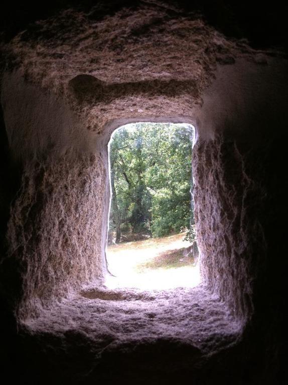 Eira Das Carvalhas Penafiel Oda fotoğraf