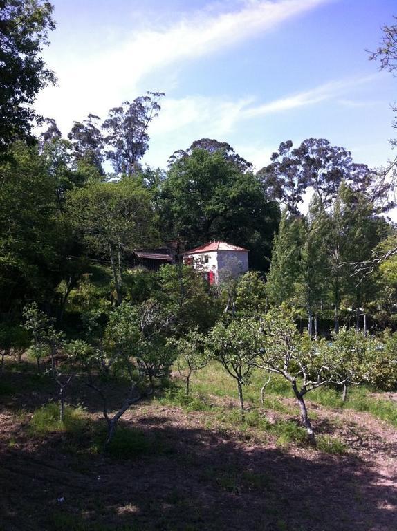 Eira Das Carvalhas Penafiel Oda fotoğraf